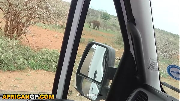 Beautiful Black Girlfriend Reaches Pussy Smashed Travelling Across African Wilderness